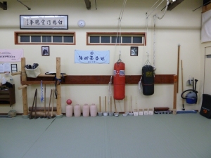 Back wall of the dojo later on